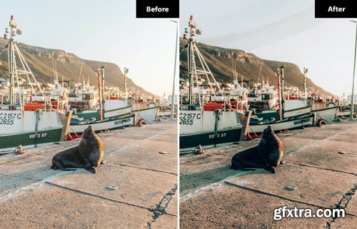 6 Graphite Lightroom and Photoshop Presets NXAKETW 6 Graphite Lightroom and Photoshop Presets NXAKETW
