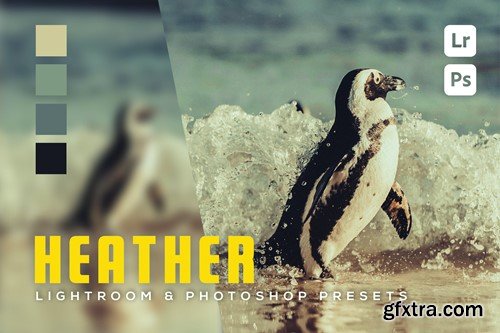 6 Heather Lightroom and Photoshop Presets 3R86B5P 6 Heather Lightroom and Photoshop Presets 3R86B5P