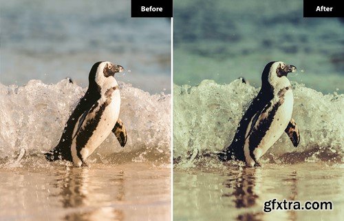 6 Heather Lightroom and Photoshop Presets 3R86B5P 6 Heather Lightroom and Photoshop Presets 3R86B5P