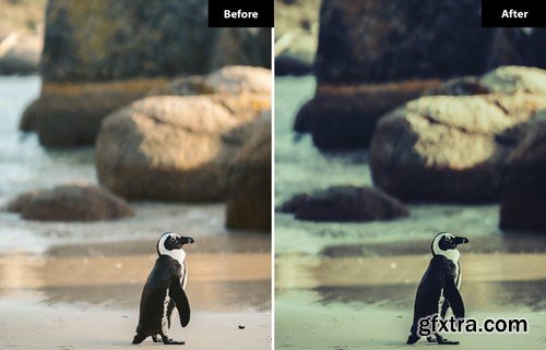 6 Heather Lightroom and Photoshop Presets 3R86B5P 6 Heather Lightroom and Photoshop Presets 3R86B5P