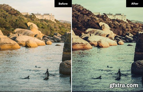 6 Heather Lightroom and Photoshop Presets 3R86B5P 6 Heather Lightroom and Photoshop Presets 3R86B5P