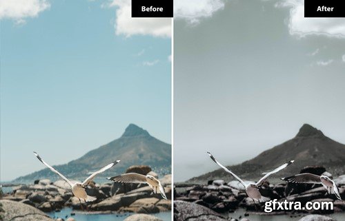 6 Liliac Lightroom and Photoshop Presets 9YQM2FZ 6 Liliac Lightroom and Photoshop Presets 9YQM2FZ