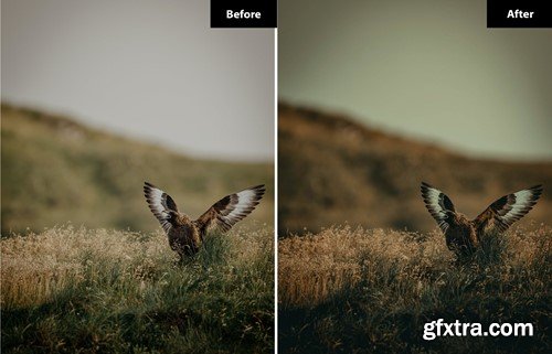 6 Shamrock sea Lightroom and Photoshop Presets EPSEXLD 6 Shamrock sea Lightroom and Photoshop Presets EPSEXLD