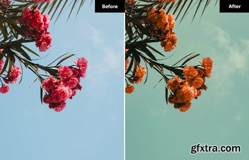 6 Shamrock sea Lightroom and Photoshop Presets EPSEXLD 6 Shamrock sea Lightroom and Photoshop Presets EPSEXLD