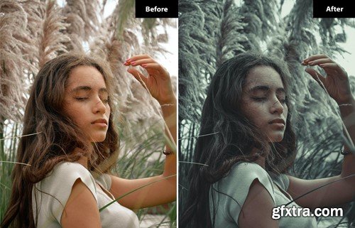 6 Tawny look Lightroom and Photoshop Presets SJUNUYH 6 Tawny look Lightroom and Photoshop Presets SJUNUYH