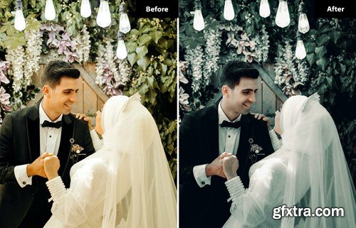 6 Pewter tones Lightroom and Photoshop Presets VKCZVFT 6 Pewter tones Lightroom and Photoshop Presets VKCZVFT