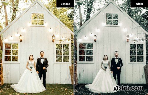 6 Pewter tones Lightroom and Photoshop Presets VKCZVFT 6 Pewter tones Lightroom and Photoshop Presets VKCZVFT