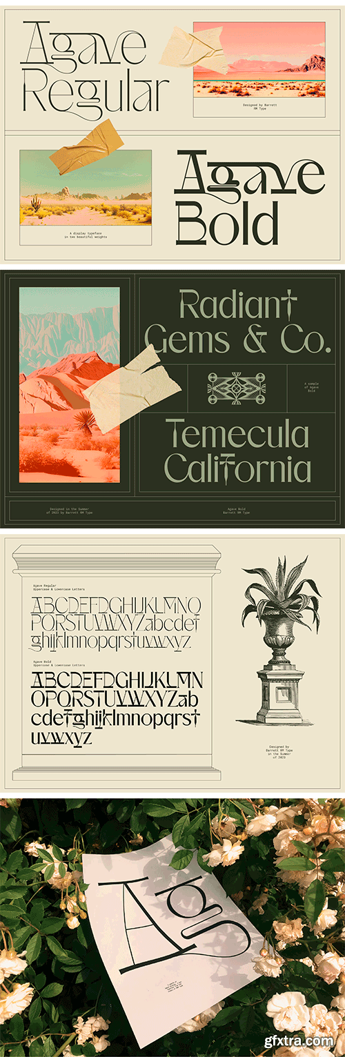 Agave - Display Typeface