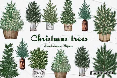 Christmas Tree Watercolor Clipart 7B75AQ6