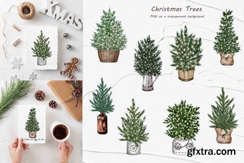 Christmas Tree Watercolor Clipart 7B75AQ6