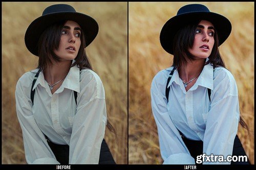 Hollywood - Desktop and Mobile Presets 2LRKMT5