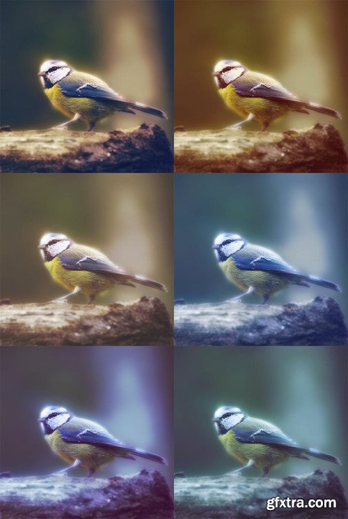 Soft Focus 3 Photoshop Action SC7GJJ Soft Focus 3 Photoshop Action SC7GJJ