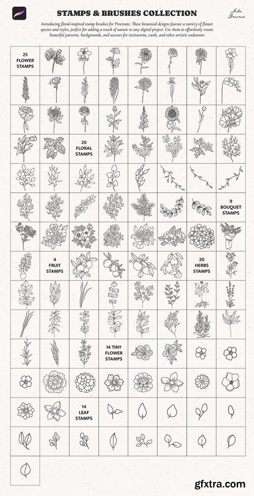 Stamp Brushes Procreate Flowers Frames Floral Y64HKNU Stamp Brushes Procreate Flowers Frames Floral Y64HKNU