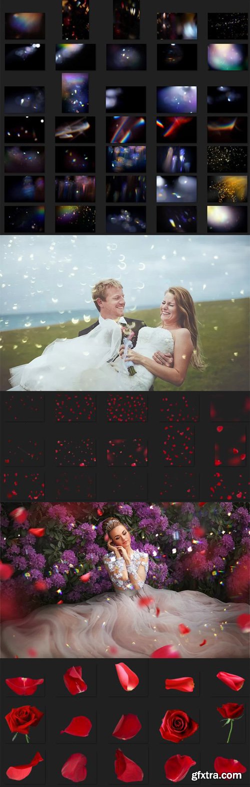 Light Bokeh & Red Petals Photoshop Overlays Collection