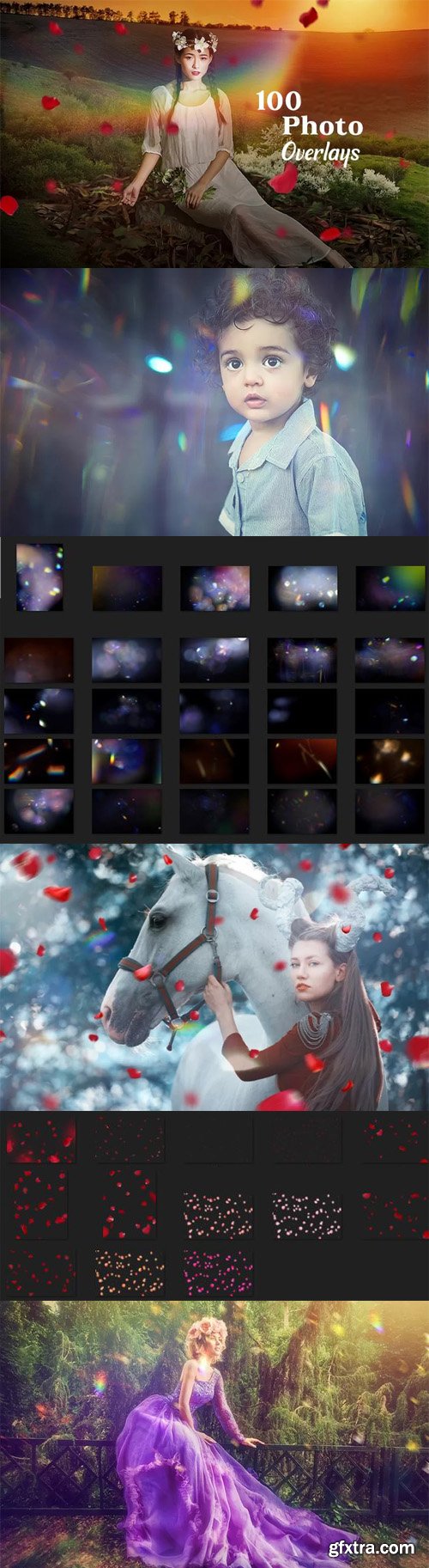 Light Bokeh & Red Petals Photoshop Overlays Collection