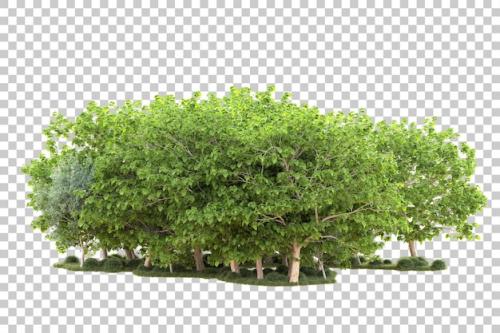 Premium PSD | Landscape isolated on transparent background 3d rendering illustration Premium PSD