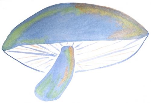 Premium PSD | Hand drawn watercolour shape pattern Premium PSD