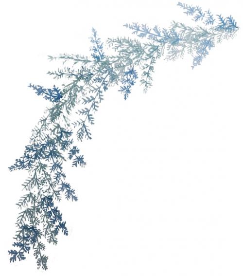 Premium PSD | Hand drawn watercolour botanical pattern Premium PSD