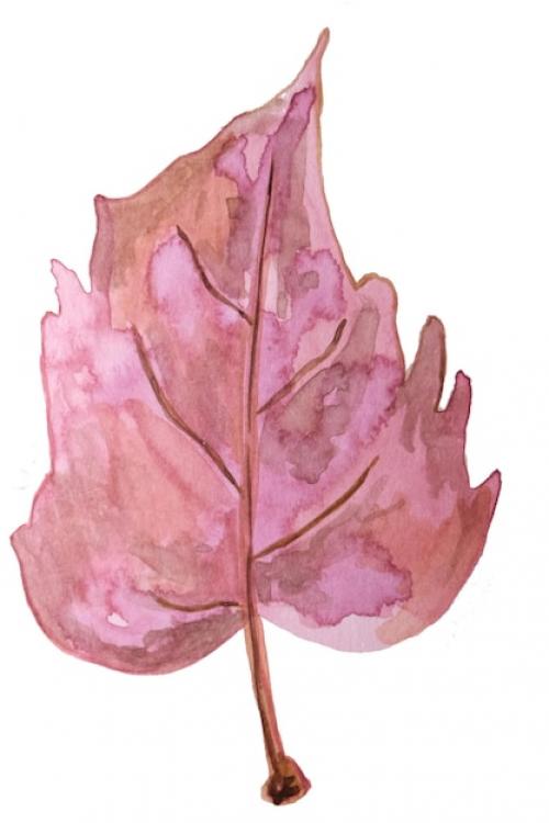 Premium PSD | Hand drawn watercolour botanical pattern Premium PSD