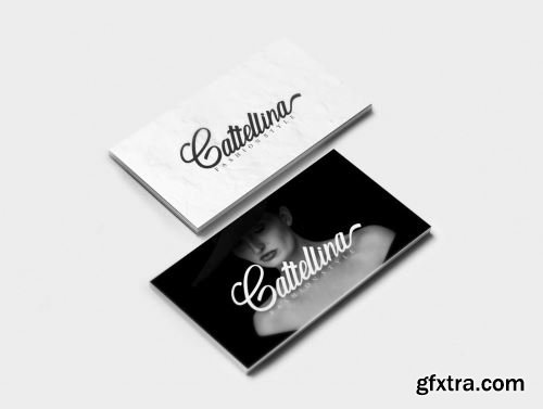 Rallina Font Ui8.net