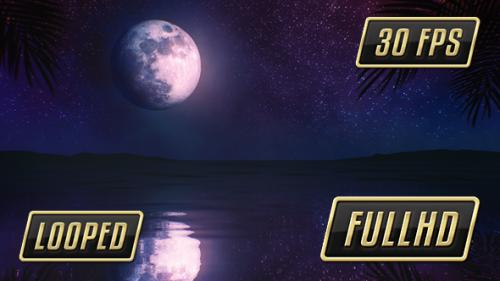Videohive - Tropical Night Moon - 17773559 - 17773559