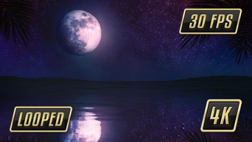 Videohive - Tropical Night Moon - 17776133 - 17776133