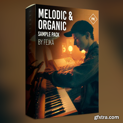 Production Music Live Melodic and Organic by Fejka