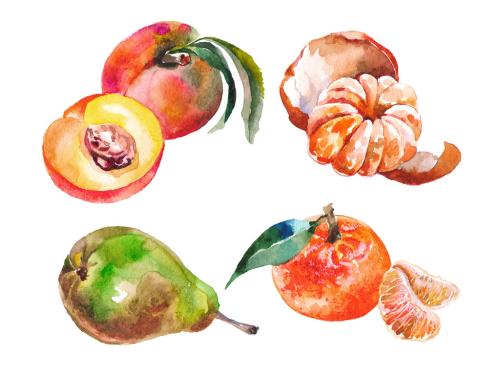 Watercolor painted collection of fruits. Hand drawn fresh food design elements isolated on white background. 646516143