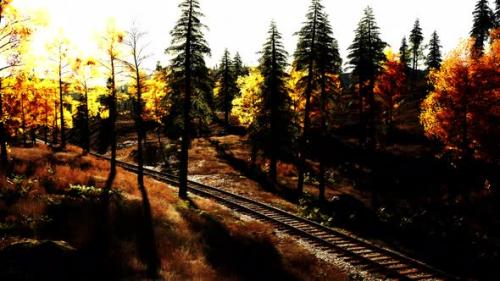 Videohive - Old Railroad Tracks Cutting Through a Dense Forest of Spruce Trees at Twilight - 48195038 - 48195038