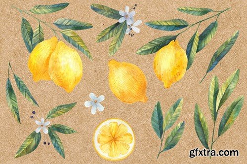 Watercolor Lemon Clipart, Citrus E7YTSTD Watercolor Lemon Clipart, Citrus E7YTSTD