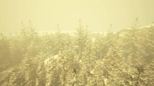 Videohive - A Stunning Winter Landscape with a Snowy Forest Seen From Above - 48386744 - 48386744