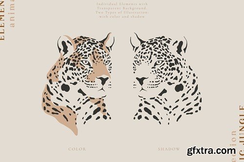Leopards Illustrations Portrait Vector Set X5RHG8Y