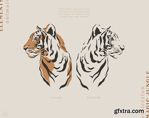 Tigers Illustrations Portrait Vector Set HJ86FPE