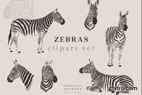 Zebras Illustrations Portrait Vector Set 7DQTGUK
