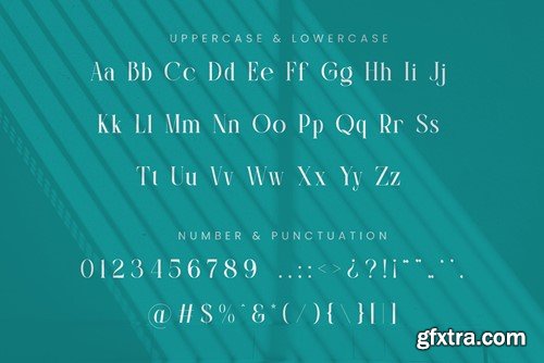 Clamoe Modern Serif Font 6XC7D39 Clamoe Modern Serif Font 6XC7D39