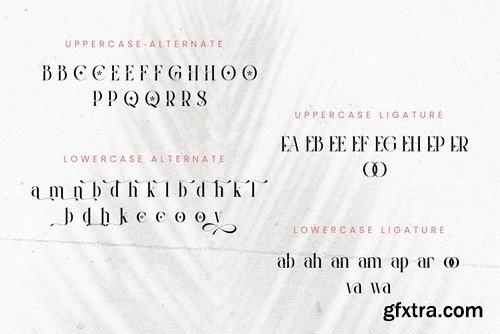 Clamoe Modern Serif Font 6XC7D39 Clamoe Modern Serif Font 6XC7D39