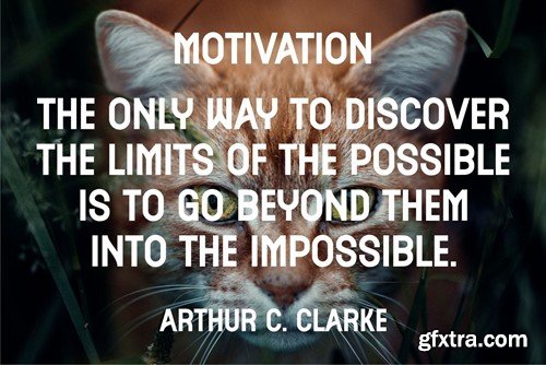 MANERA Elegant Sans Serif Typeface 36QTRN7 MANERA Elegant Sans Serif Typeface 36QTRN7