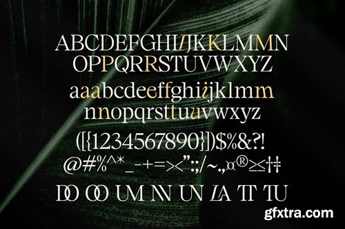 Maister//Display Serif 26HLLFR Maister//Display Serif 26HLLFR