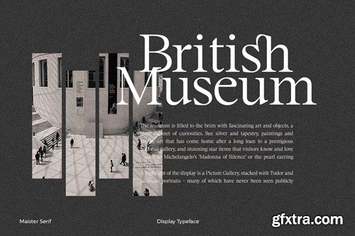 Maister//Display Serif 26HLLFR Maister//Display Serif 26HLLFR