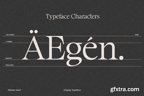 Maister//Display Serif 26HLLFR Maister//Display Serif 26HLLFR