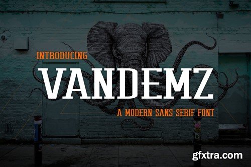 Vandemz Font J3LX936
