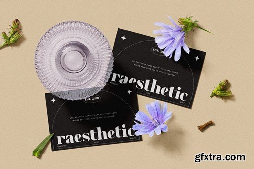 Gyeoul Elegant Serif Font Typeface 5N6YW73