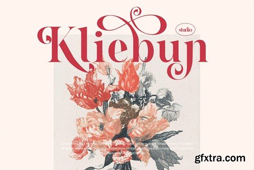 Hubein Kamaru Elegant Ligature Serif Font Typeface 6P4NB5N