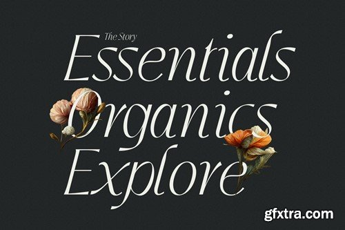 Jedira - Modern Branding Logo font 6XBL354