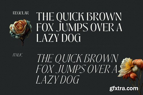 Jedira - Modern Branding Logo font 6XBL354