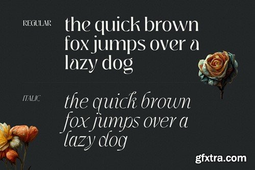 Jedira - Modern Branding Logo font 6XBL354