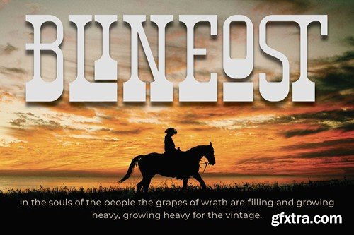 Bronhors Vasty - Western C43KU95