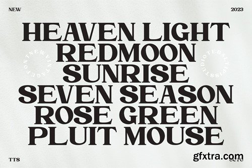 Blink Urgent - Retro Serif Font R6RVN75