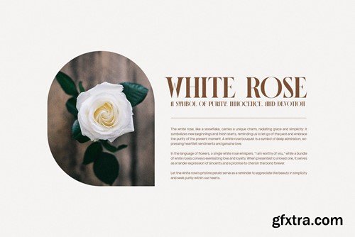 Jisoya Elegant Serif Font Typeface 5JK984G