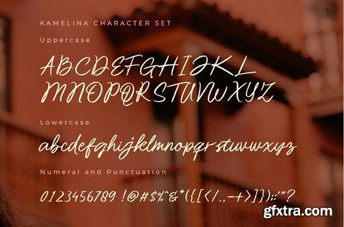 Kamelina Handwritting X9DRRFT Kamelina Handwritting X9DRRFT